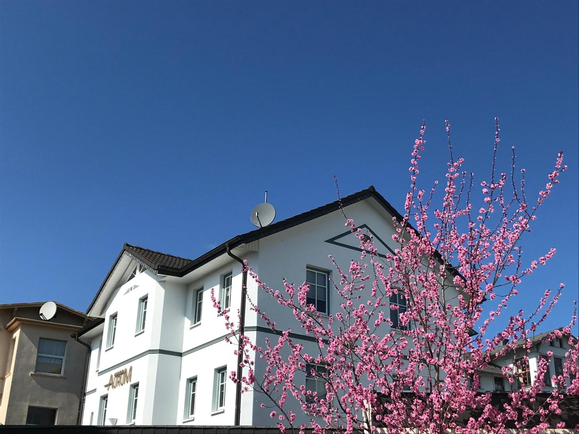 Apartmenthaus Aurum 제바트헤링스도르프 외부 사진